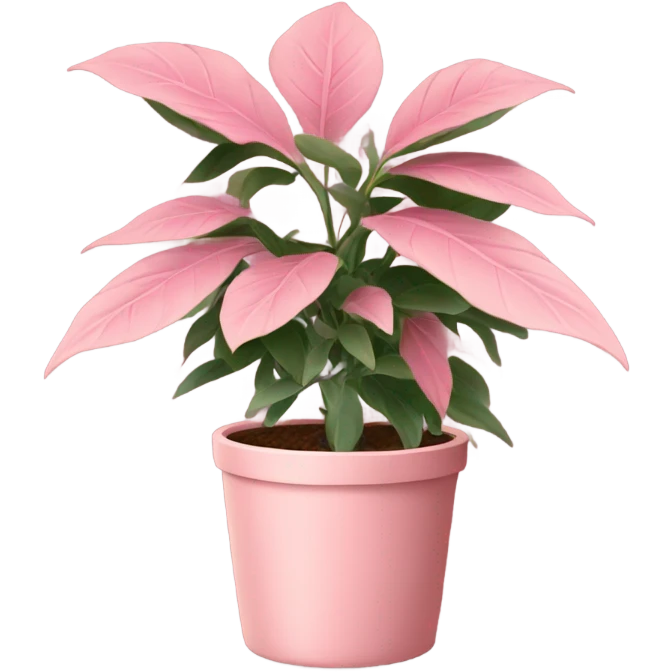 Pink plant in pale pink pot emoji