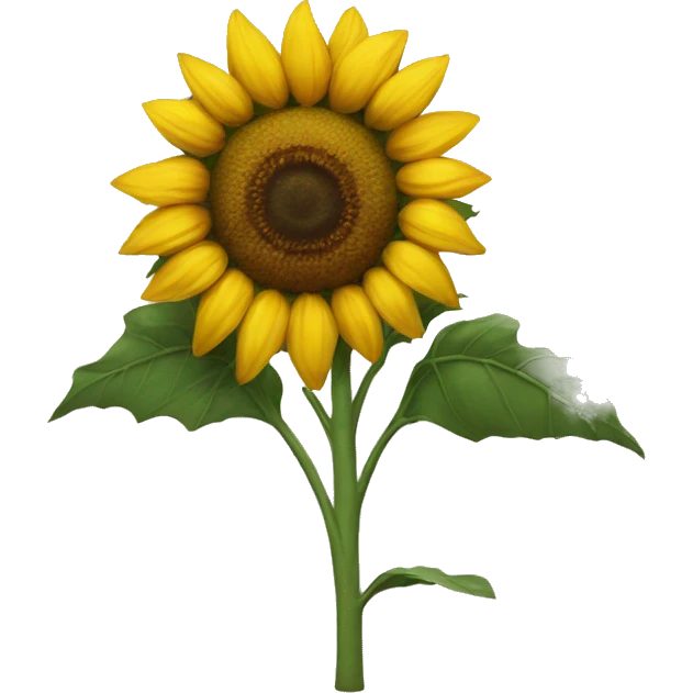Sunflower  emoji