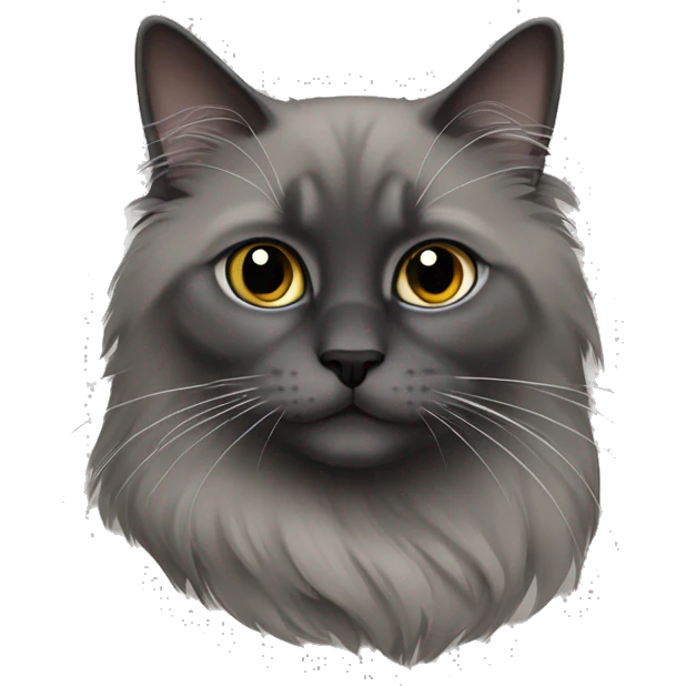 dark grey ragdoll cat emoji