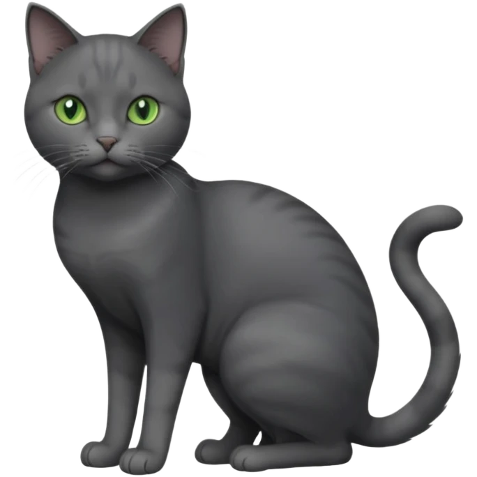 full body view of beautiful female solid dark grey cat with green eyes, grey face, white toes/paws and small white patch on her chest emoji