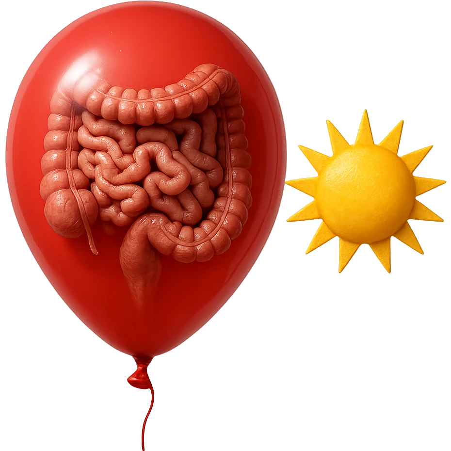 intestino umano anatomico chiuso in un palloncino rosso che simboleggia gonfiore, accanto un simbolo di sole che simboleggia "gonfiori di mattina", iperrealistico 4k emoji