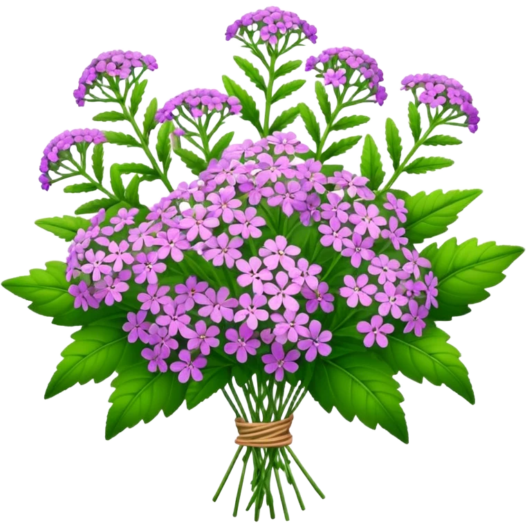 big bouquet verbena flower, stem, leaf emoji