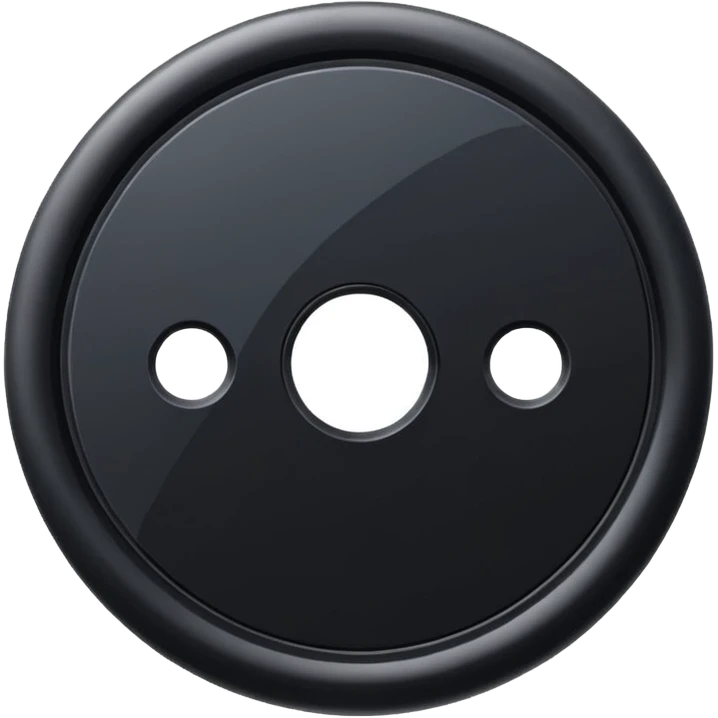 black computer disk emoji