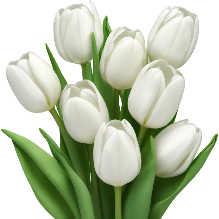 white tulip bouquet  emoji