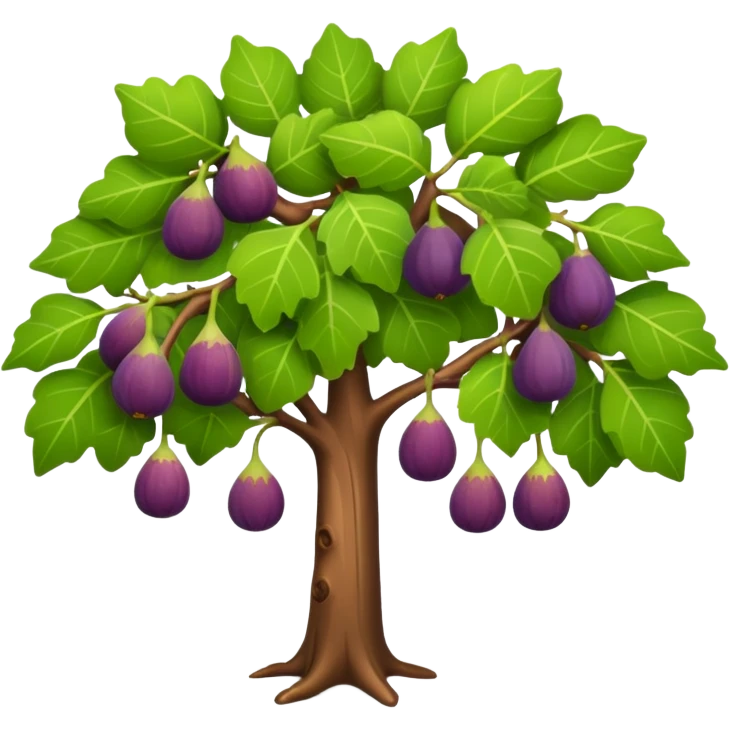 fig tree  emoji