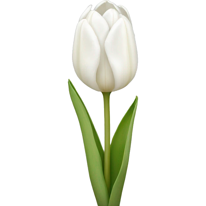 White tulips  emoji