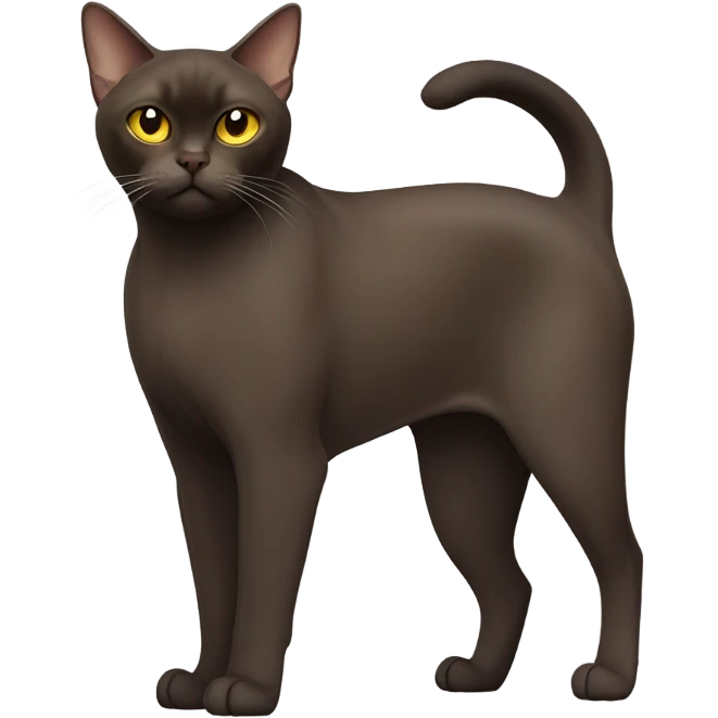 Burmese cat emoji