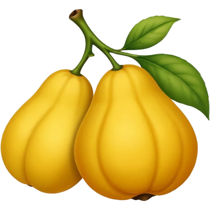 ایموجین بادقت و مذهبی از آسید جواد ذاکر مداح میر محمد ذاکر طباطبایی emoji