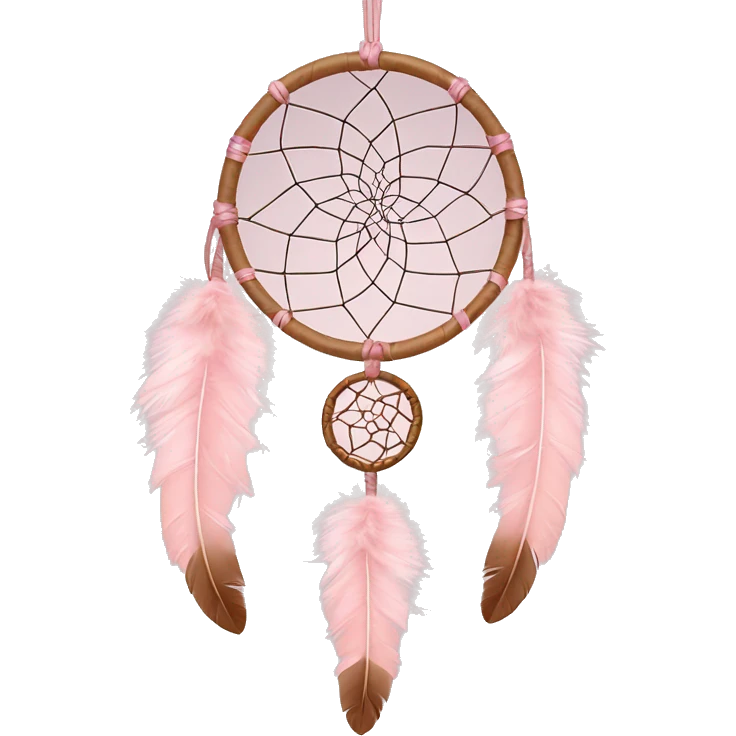 Blush pink dream catcher with feathers  emoji