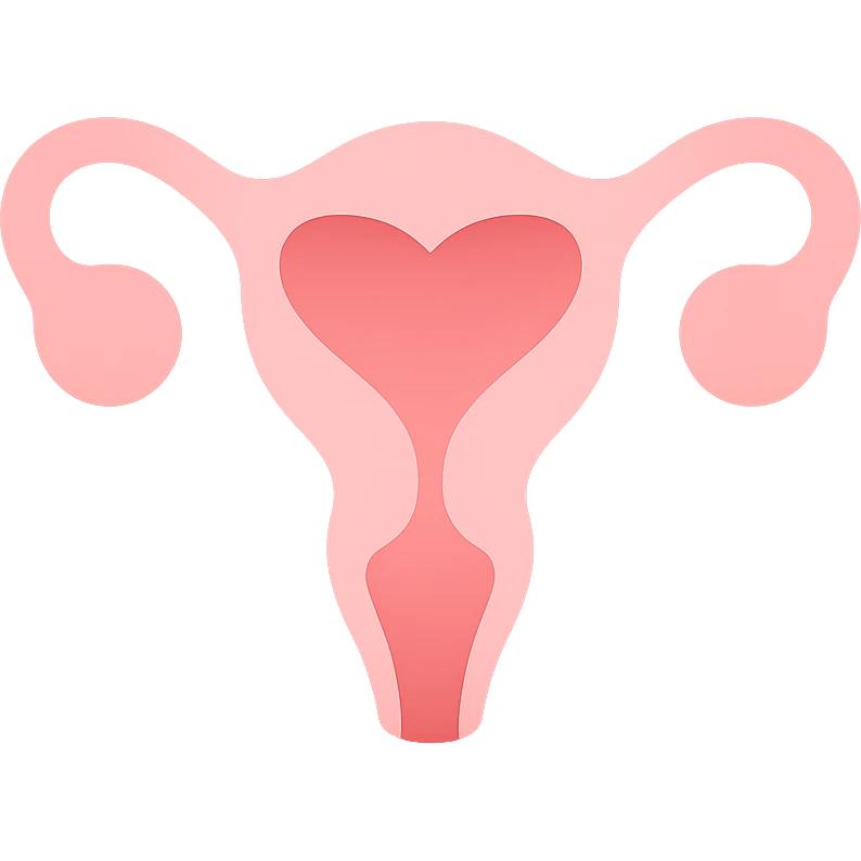 A clean, minimalistic vector illustration of a simplified uterus icon, designed as a stylized flower or heart shape with upward-sweeping fallopian tube 'horns'. Use smooth, well-defined lines with a modern flat design. Apply soft inner shadows and subtle highlights to give depth and gloss without breaking the flat aesthetic. Keep the design centered, symmetrical, and elegant. Transparent background. Color palette: soft pinks, muted reds, and gentle white highlights emoji
