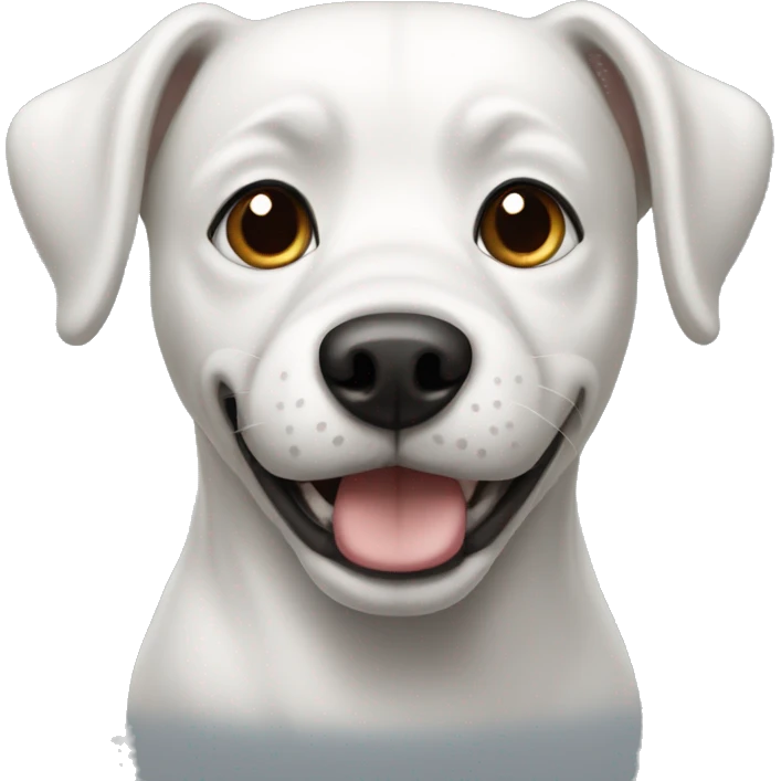 white and black dog emoji