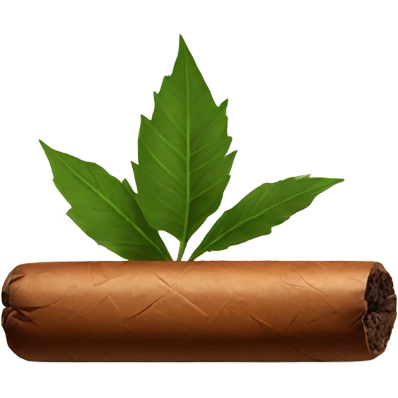 Cigar emoji