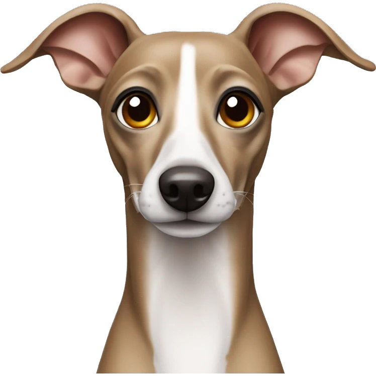 Italian greyhound dog emoji