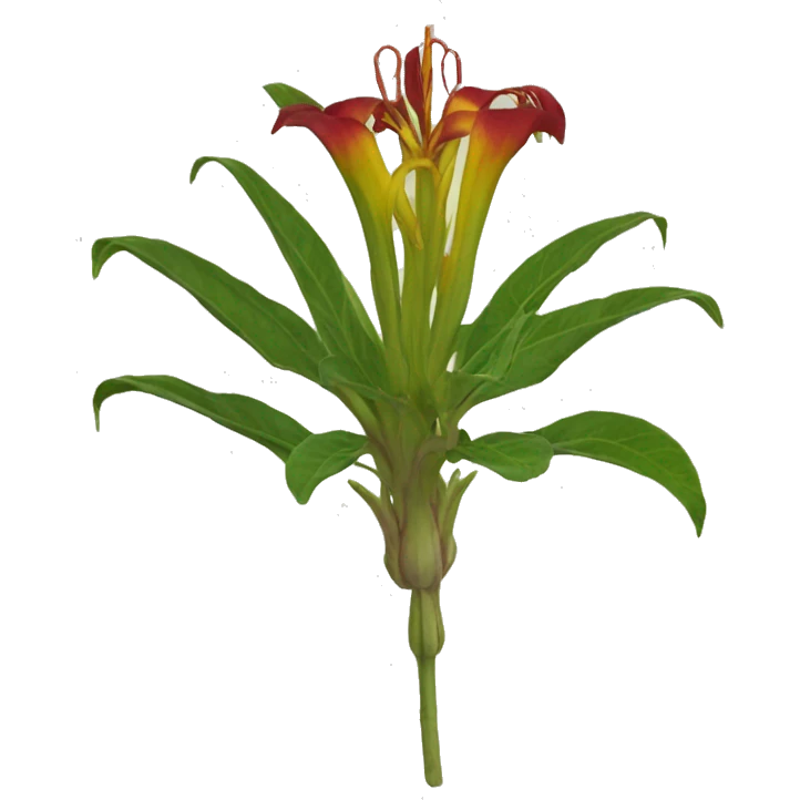 gloriosa superba emoji
