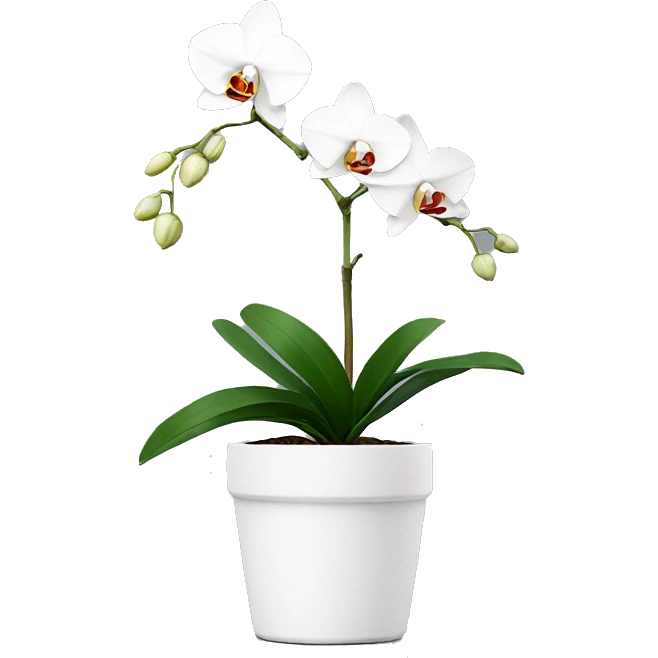 Minimal white single orchid in pot emoji