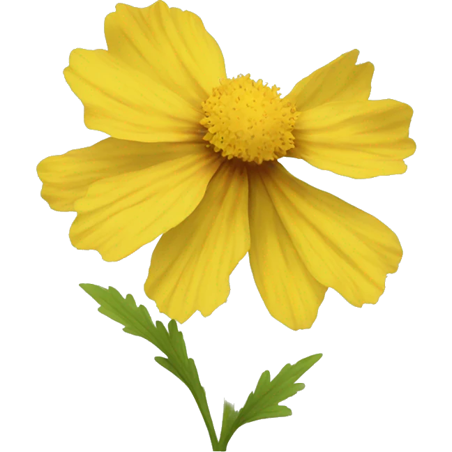 yellow coreopsis flower emoji