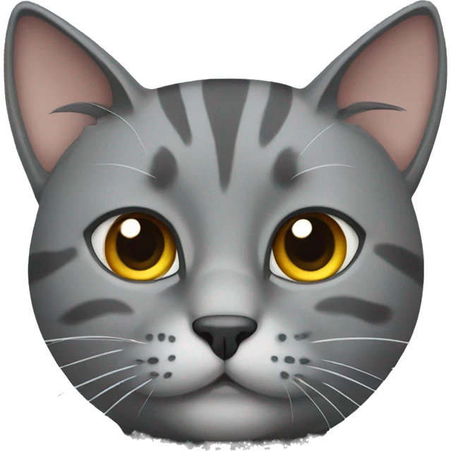 Grey cat of the Scottish breed emoji