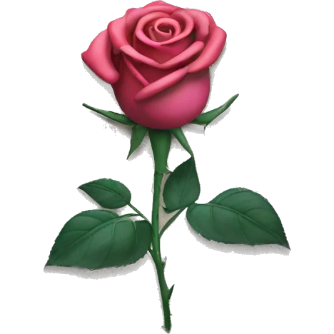 Rose out the concrete  emoji