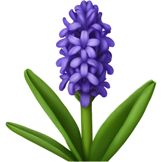 Hyacinth flower emoji
