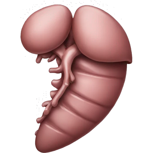 Liver emoji