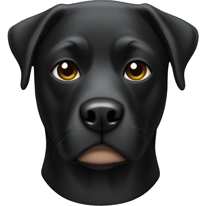 black lab superhero mask emoji