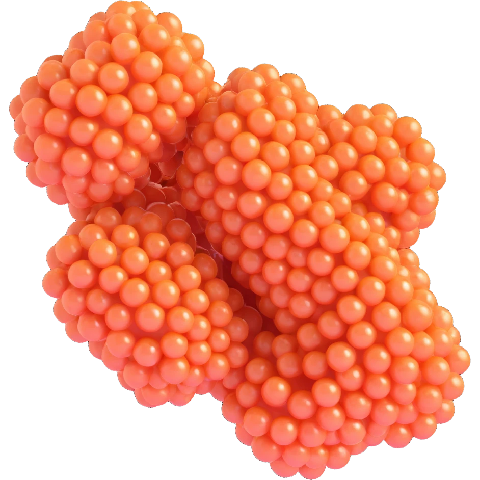 3D cross-section of biomembrane showing double phospholipid bilayer with hydrophilic heads and hydrophobic tails, embedded proteins, cholesterol, carbohydrate chains, realistic depth and shading, educational style, no organelles emoji