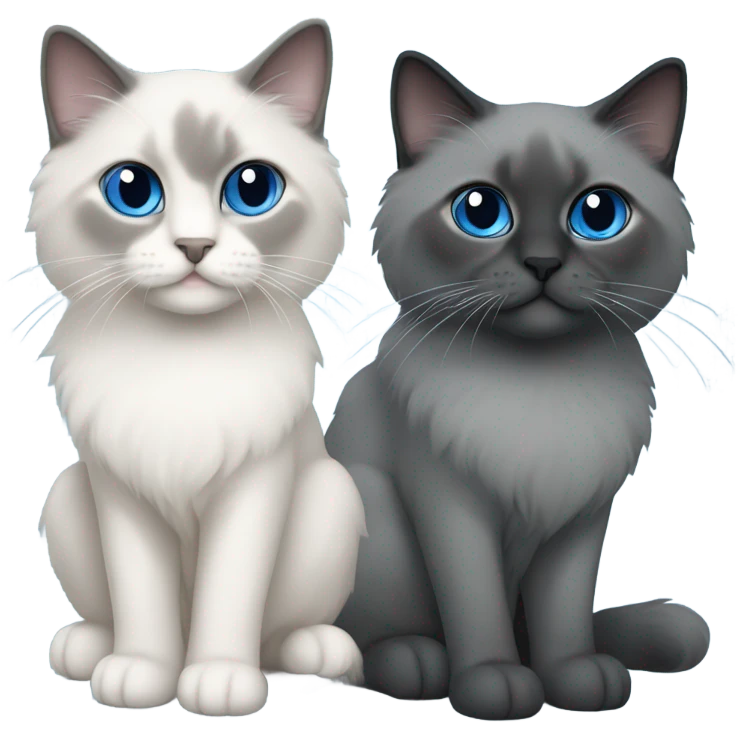 Two Blue point ragdoll cats with short length hair, with blue eyes, dark face  emoji