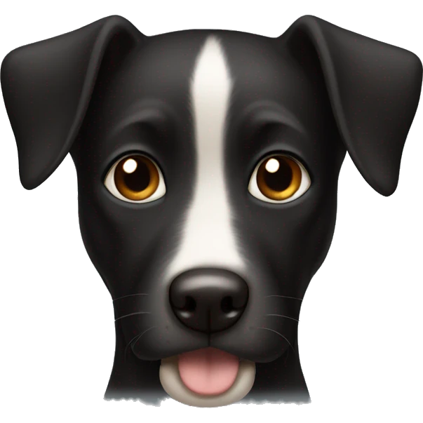 Black dog with brown eyes and white belly emoji