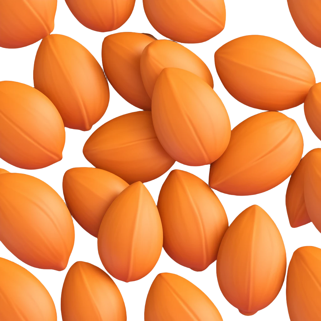realistic almond without shell emoji