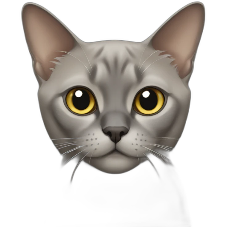 Grey burmese cat emoji