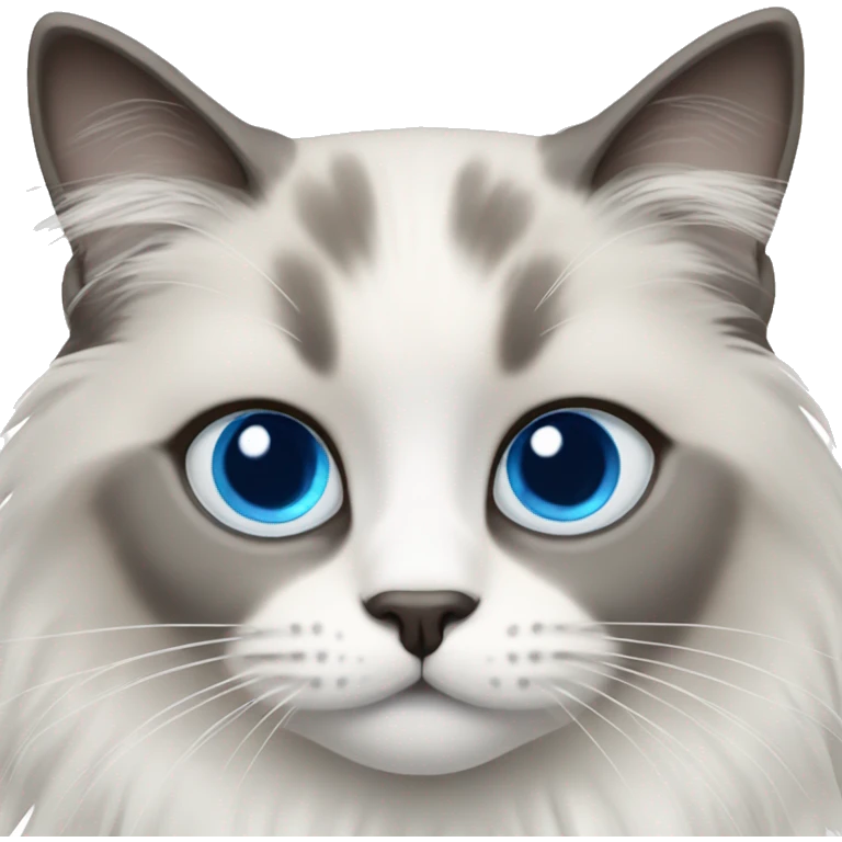 ragdoll cat, grey face, blue eyes, emoji
