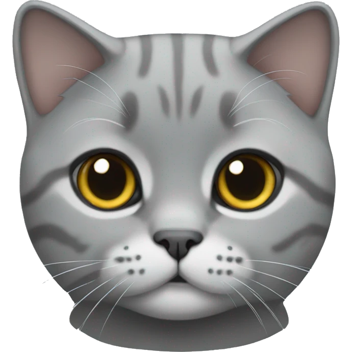 Scottish fold grey cat  emoji