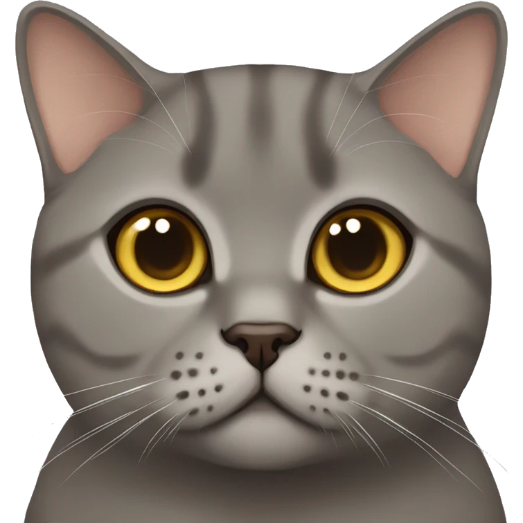 Brown British Shorthair  emoji