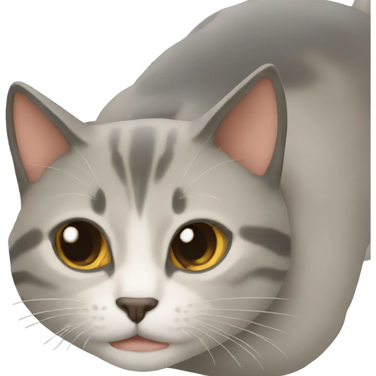 Gato mar emoji