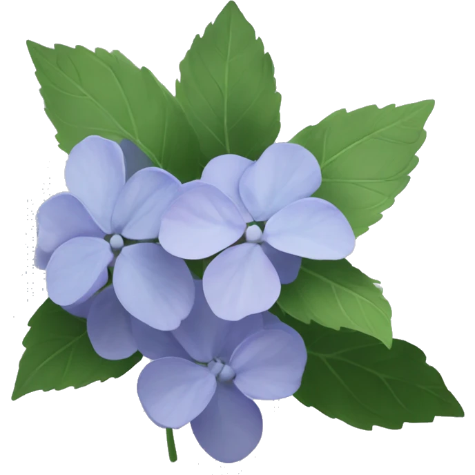 generate slack emoji image for "Hydrangea macrophylla" emoji