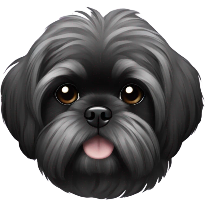 Black shitzu black fur emoji