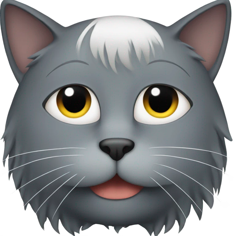 Black cat with white hair above right eye  emoji