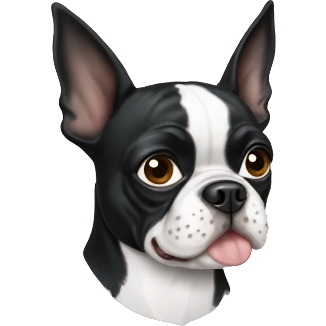 Boston terrier emoji