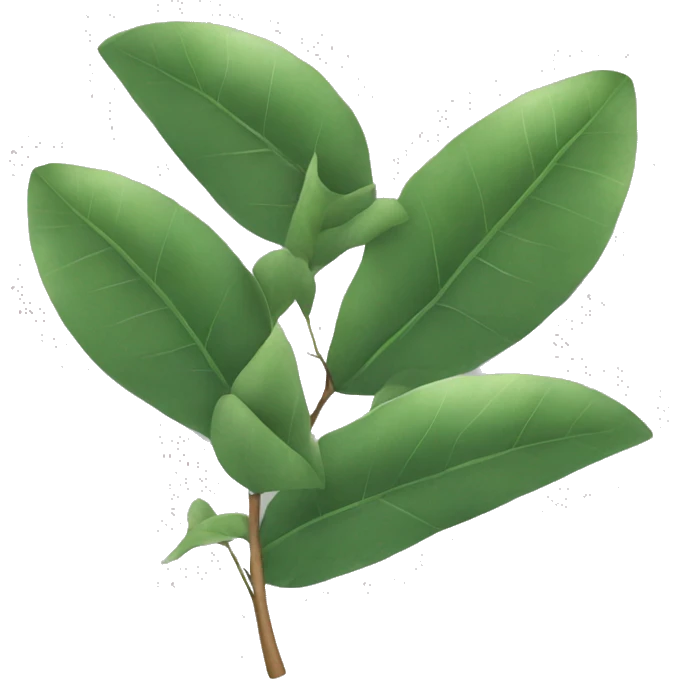 branch of eucalyptus leaves emoji