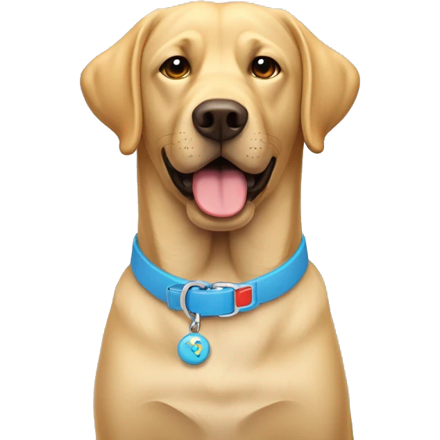 Labrador con un collar con la C y un lazo emoji