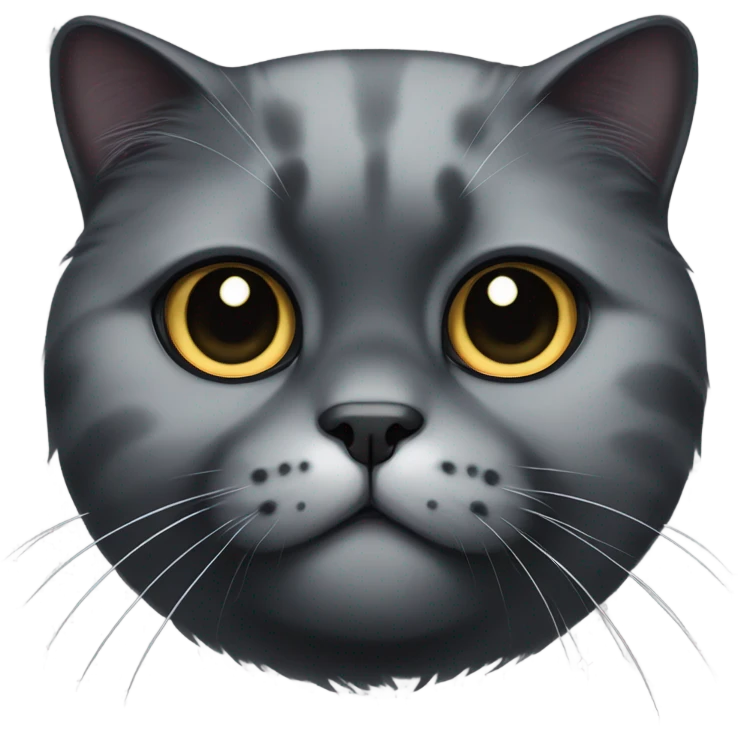 Black cat Scottish fold, one eye white. Black spot heart on nose. emoji