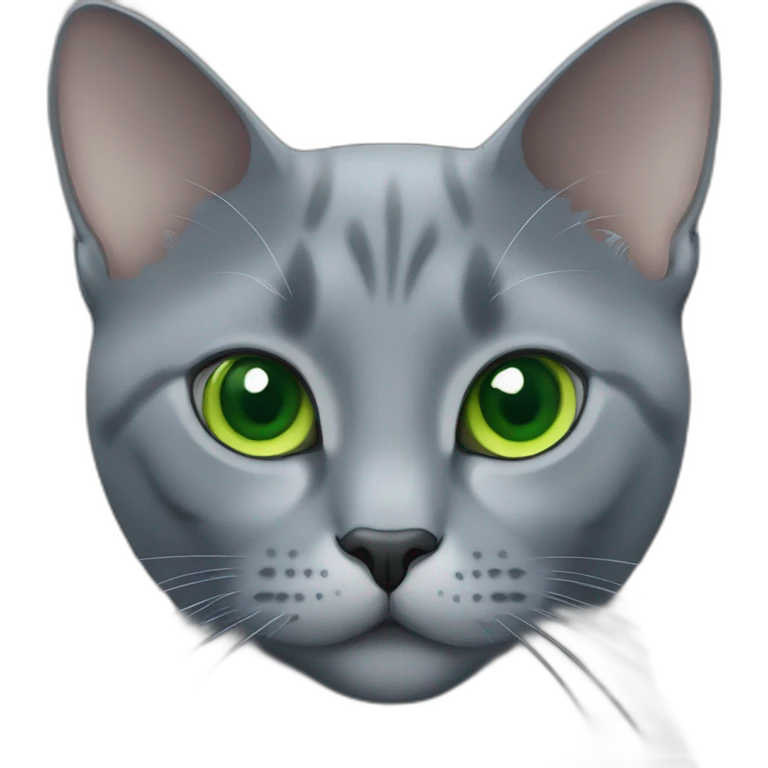 fully grey cat russian blue with round face and green eyes no stripes emoji
