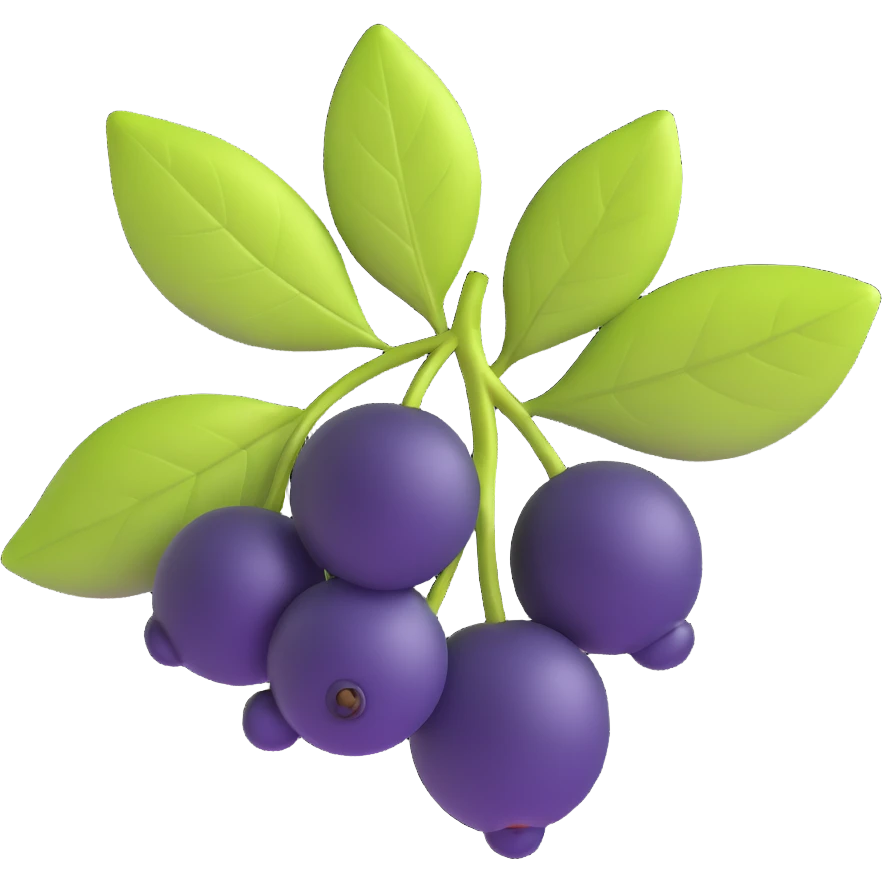aronia berry emoji