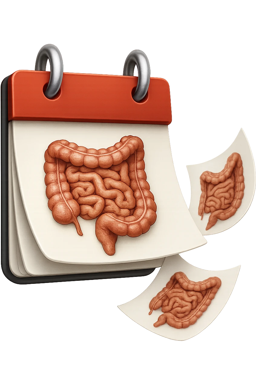 emoji stile iphone di un calendario con fogli che volano insieme, sui fogli ci sono disegnati degli intestini anatomici, iperrealistico 4k, isolato su sfondo bianco emoji