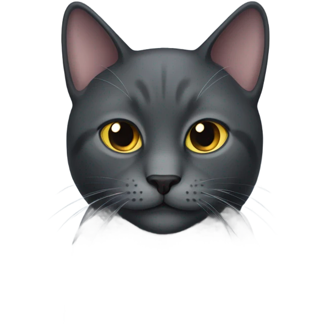 Dark Gray cat emoji