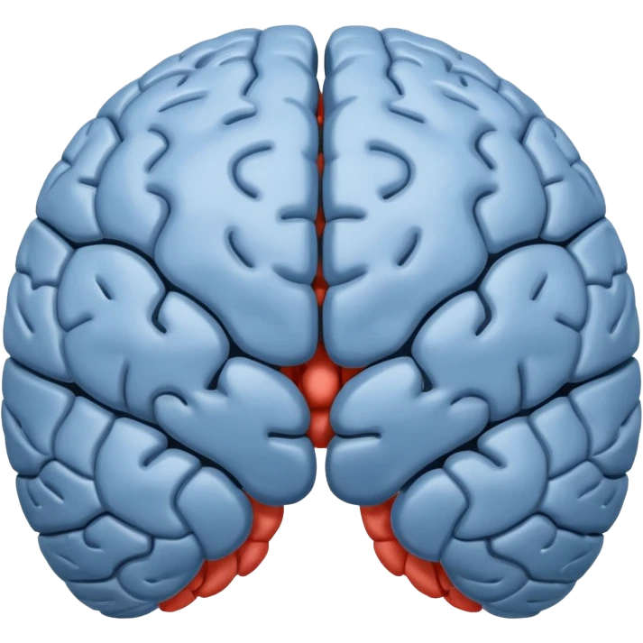 The brain has blue hemispheres and grey hemispheres emoji