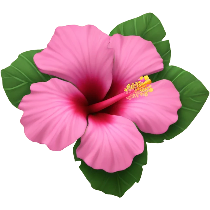 pink hibiscus flower emoji