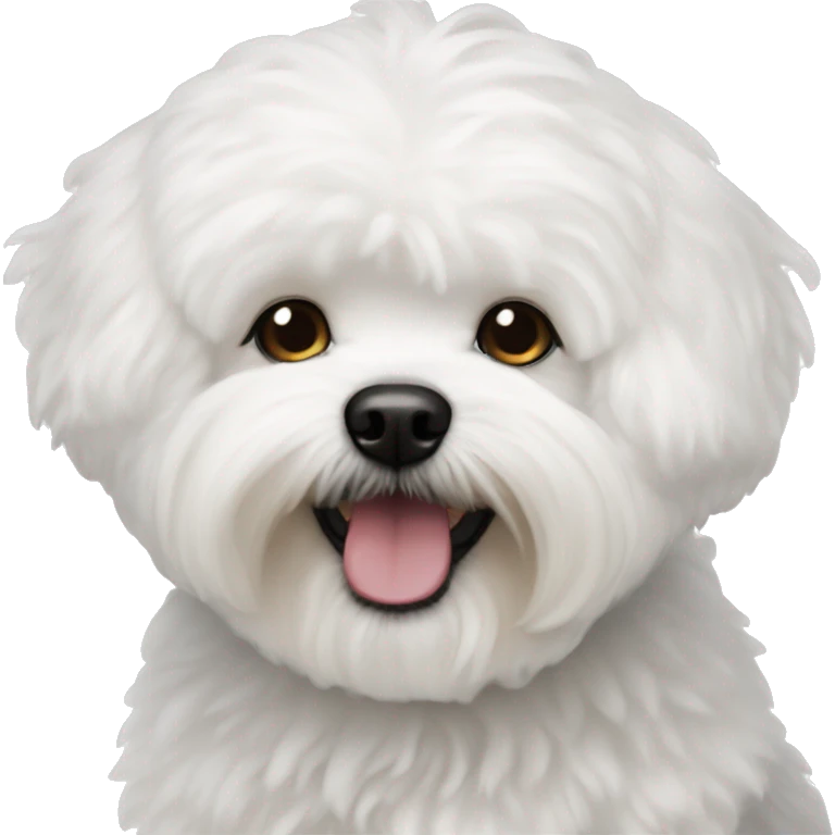 Bichon maltaise emoji