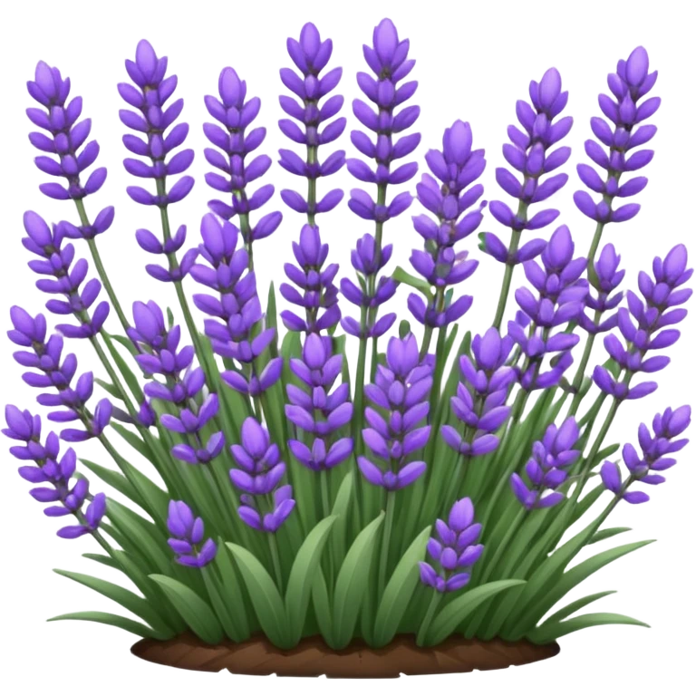 LAVENDER emoji