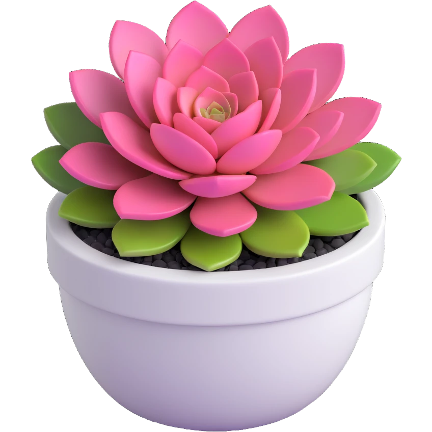 3D style succulent pink and green in a short round white pot emoji